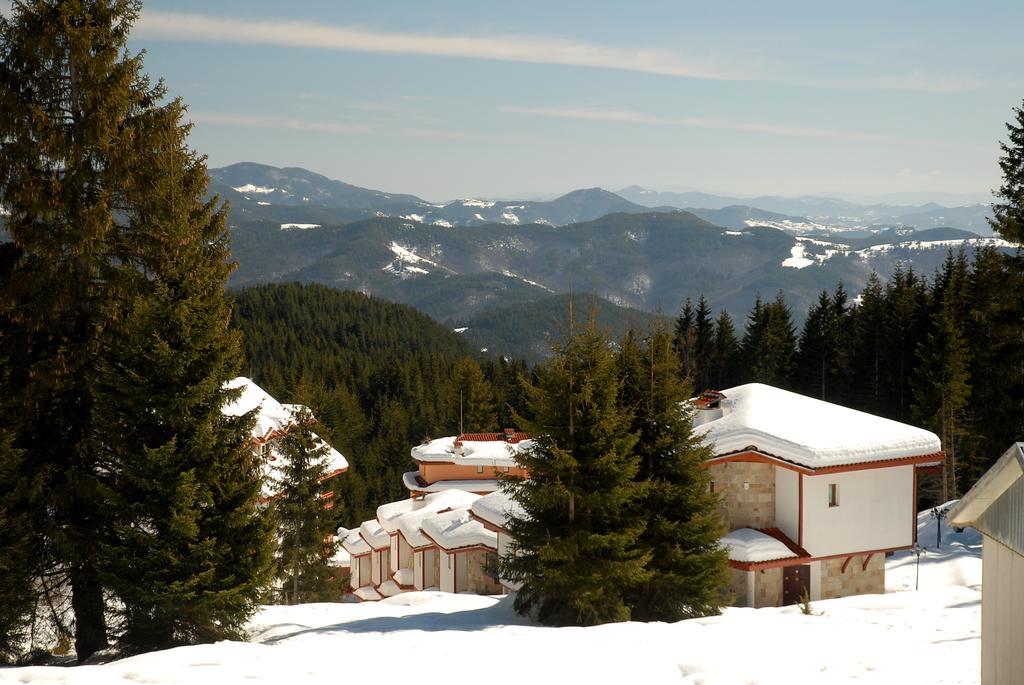 Hotel Forest Glade Pamporowo Exterior foto