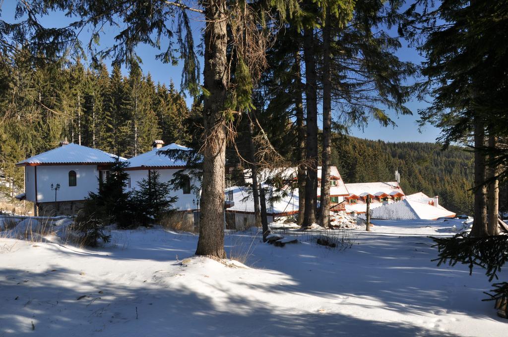 Hotel Forest Glade Pamporowo Exterior foto